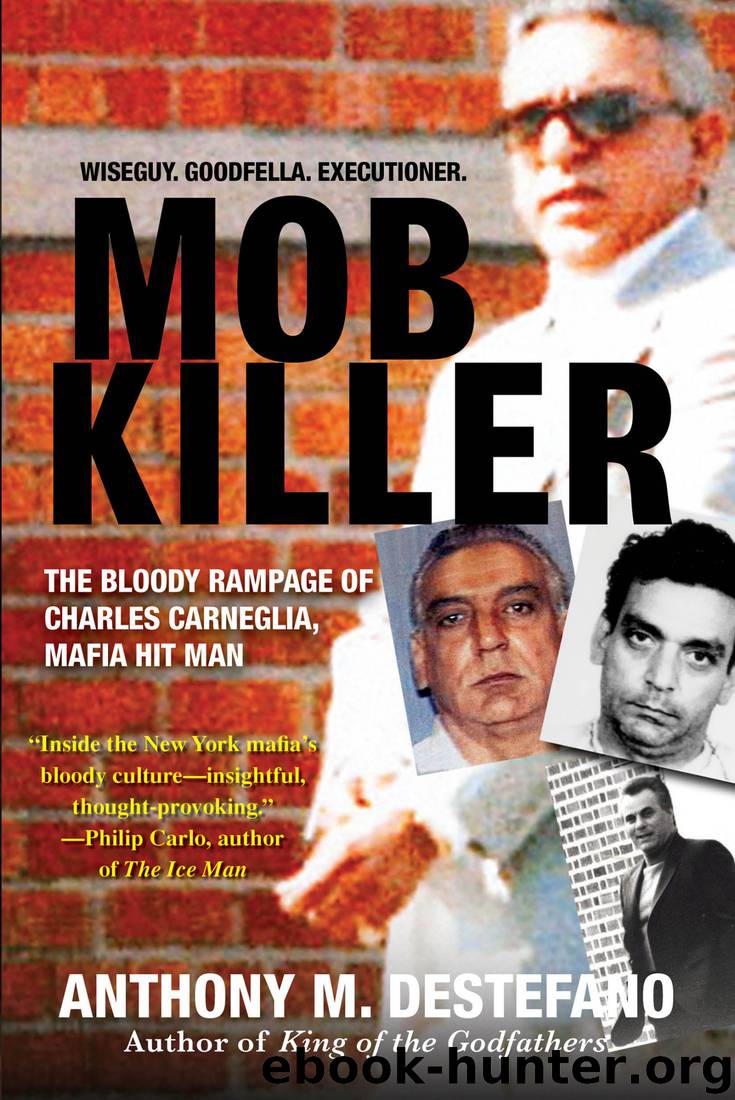 Mob Killer By Anthony M Destefano Free Ebooks Download